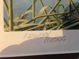 Unlimited Ducks framed prints (12659/17500)