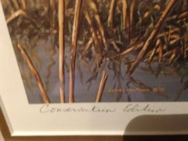 Conservation Edition framed art