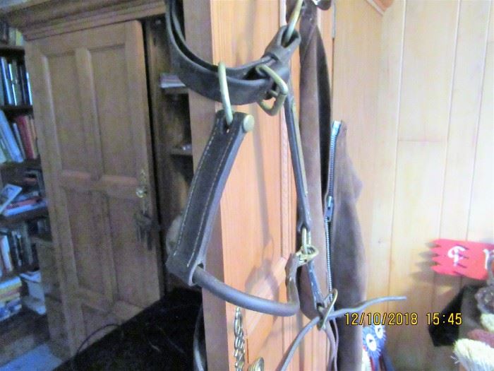 HALTERS, HARNESS, SADDLES, TACK OH THE EQUESTRIAN ITEMS