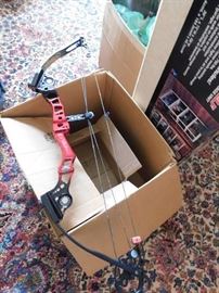 Nice Matthews Compound Bow