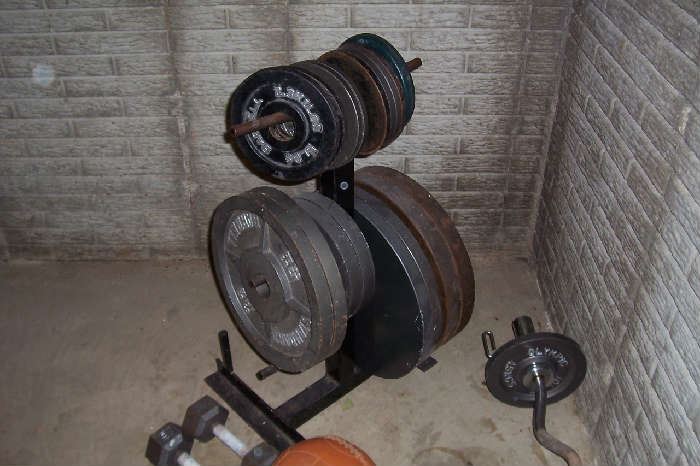 Nice weights- 45lbs, 35lbs, 25lbs, 10lbs, 5lbs                Weight stand (priced separately)