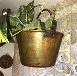  Antique Brass Pot with live plant