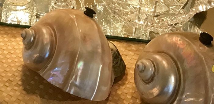 Pair of Stunning vintage shell lamp shades