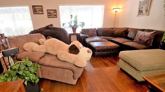 Here's the very large dog and very large LOVE SAC. More sofas.