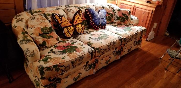 Beautiful Sofa and Butterfly Pillows