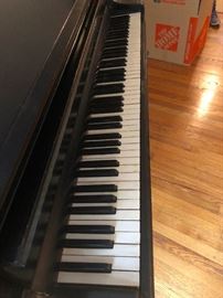 Ebony and ivory live together in harmony on my keyboard