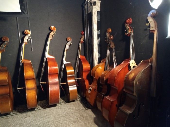 Several Stand UP Bass & Cellos