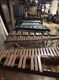Many Xylophones & Mallet Instruments 