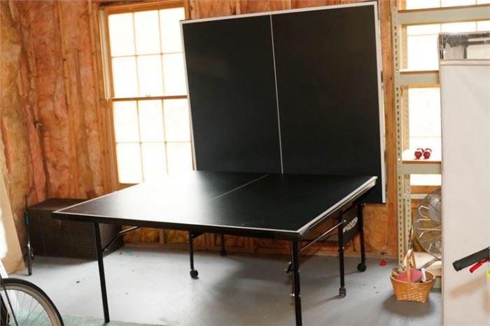 104. Ping Pong Table