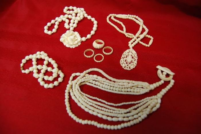 Carved Bone Rings and Necklaces