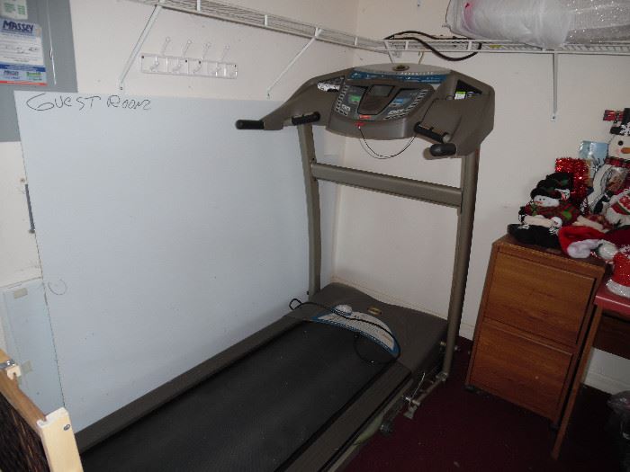 The Horizon Advantage Treadmill (Model # DT650)