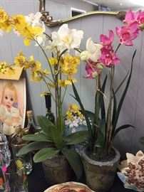 Silk Orchid Potted Plants