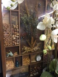 Shadow Box Encased Items Unique