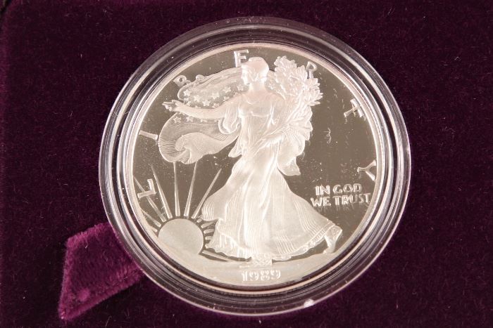 1989 American Silver Eagle Proof Dollar
