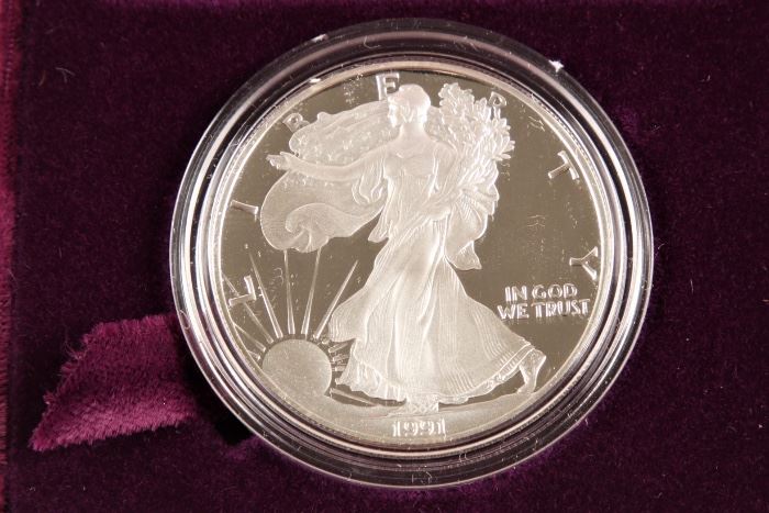 1991 American Silver Eagle Proof Dollar