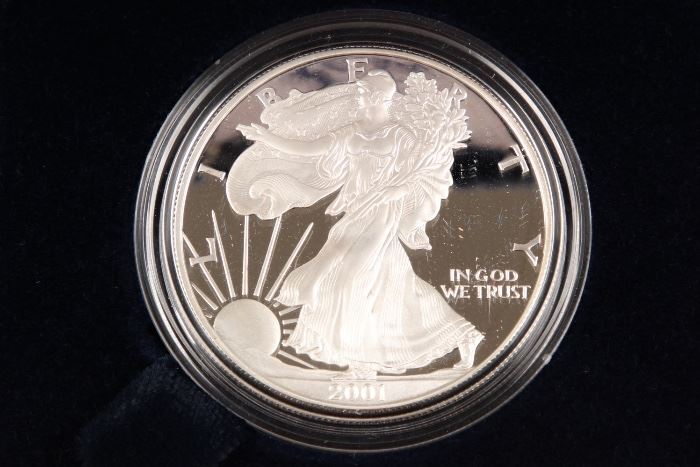 2001 American Silver Eagle Proof Dollar