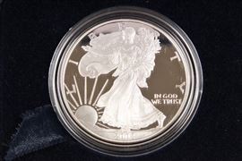 2002 American Silver Eagle Proof Dollar