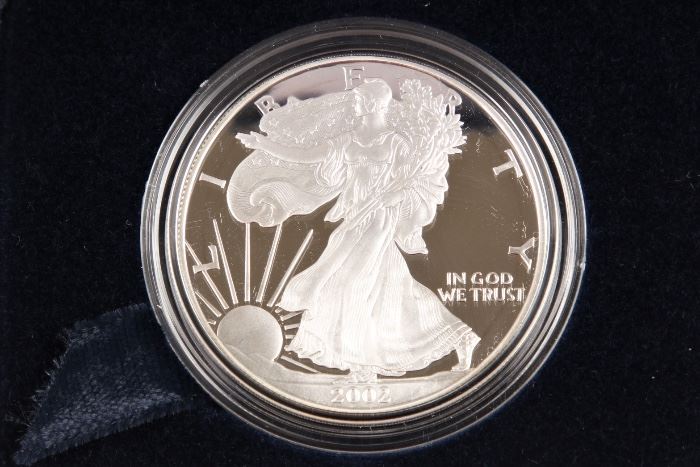 2002 American Silver Eagle Proof Dollar