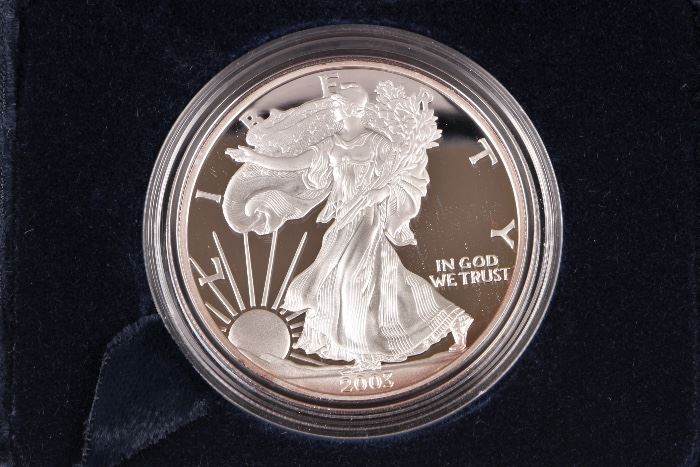 2003 American Silver Eagle Proof Dollar
