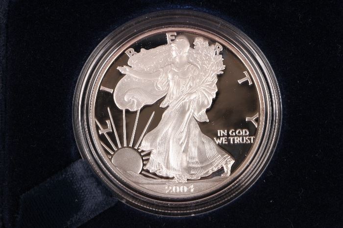 2004 American Silver Eagle Proof Dollar