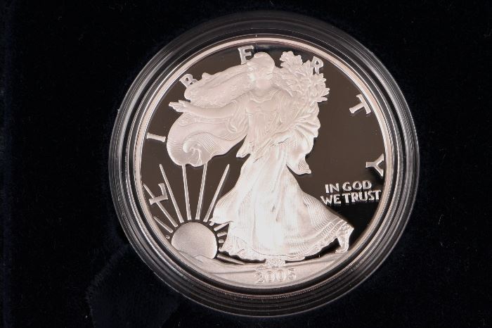 2005 American Silver Eagle Proof Dollar