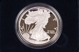 2007 U.S. Mint American Eagle Proof Dollar