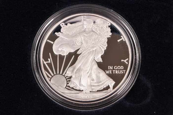2008 U.S. Mint American Eagle Proof Dollar