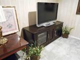 flat panel television