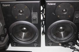 Roland Speakers.
