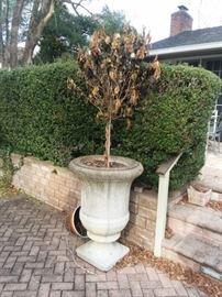 Pair of Large Outdoor Urns / Planters