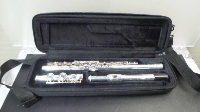 Allora Student Series Flute With Carrying Case co ...