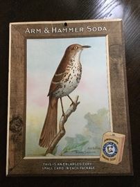 Arm & Hammer bird posters