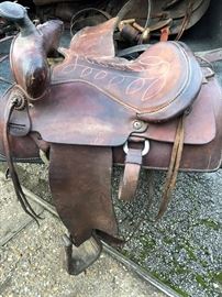 BEAR VALLEY SADDLE