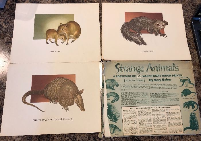 Strange Animals (set of 18 color prints) by Mary Baker