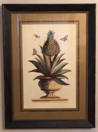 Reproduction Antique Italian Pineapple Plant Engraving