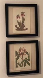 Pottery Barn Shadow Boxes