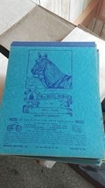 Blue Horse Note Pads