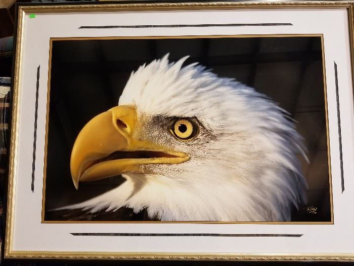 Ken Jenkins eagle
