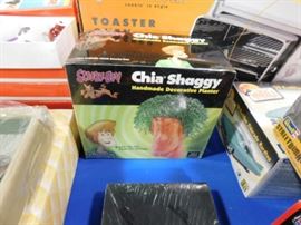 Scooby Doo Shaggy Chia pet