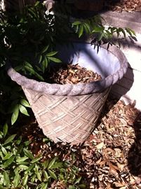 Concrete flower pot - 2 of these