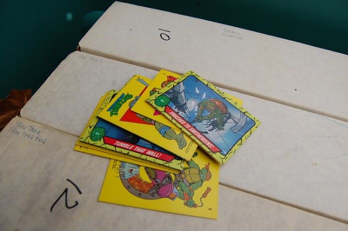 Teenage Mutant Ninja Turtle cards