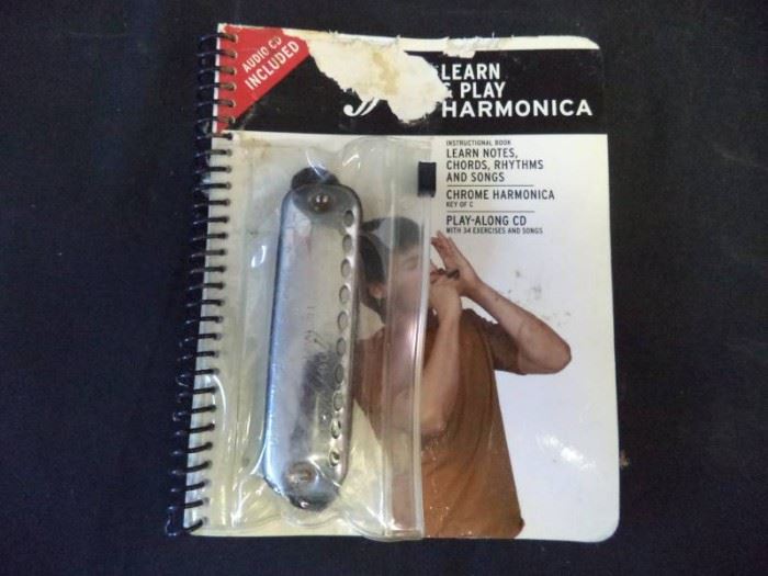 Learn Play Harmonica