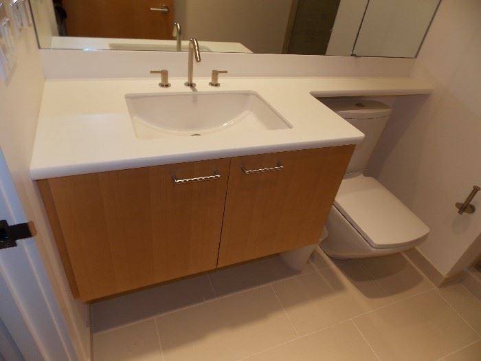 Cantilever custom  vanity with faucets and Custom Pedestal Toilet , Mirror 