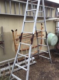 Old bed fram & ladder