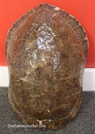  Turtle Shell

approximately 11 ½” x 9”

Located Inside – Auction Estimate $50-$100 
