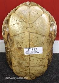  Turtle Shell

approximately 11 ½” x 9”

Located Inside – Auction Estimate $50-$100 
