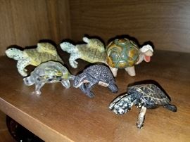 Turtles...they are everywhere I'll continue to wrangle them up...