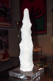 Large Piece Coral on Lucite