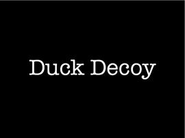 Duck decoys