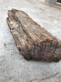Large petrified wood. $75